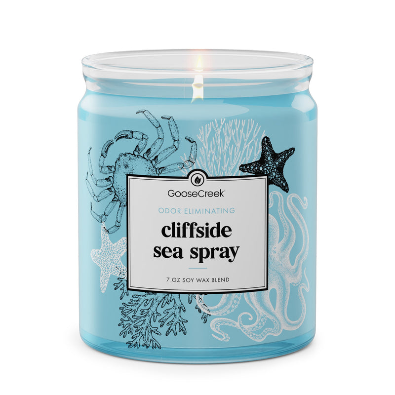 Cliffside Sea Spray Odor Eliminating 7oz Single Wick Candle X2