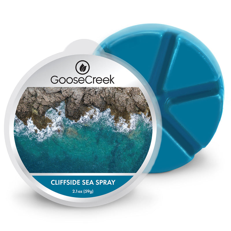 Cliffside Sea Spray Wax Melt D4